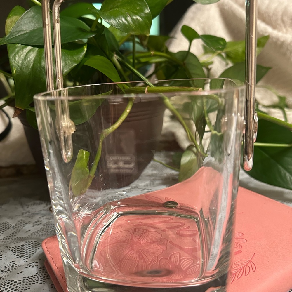 Strauss LUIGI BORMIOLI Hand Blown Italian Crystal With Silver Plated Handel MCM